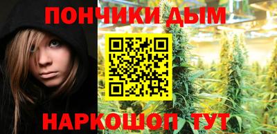 МДПВ Будённовск
