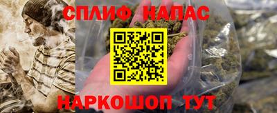 МДПВ Будённовск