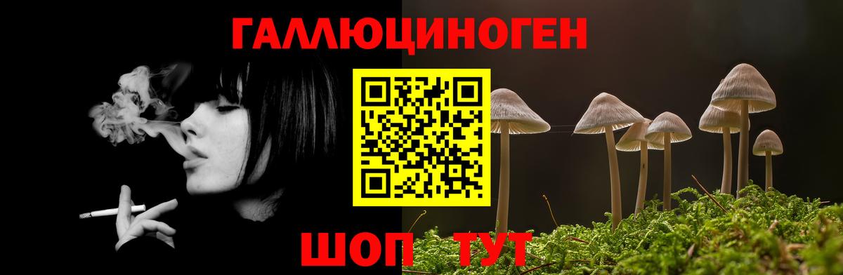 купить наркоту  Вход с VPN  Тамбов  Галлюциногенные грибы Cubensis 